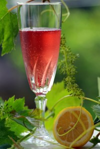 FeaturePics-Wine-Rose-Picture095346-332658