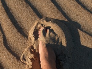 FeaturePics-StepPicture084201-90278