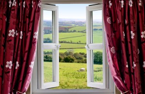 iStock_000016557998Medium