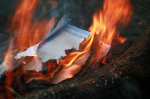 Fire destroying leaves of a paper thrown in a fire
